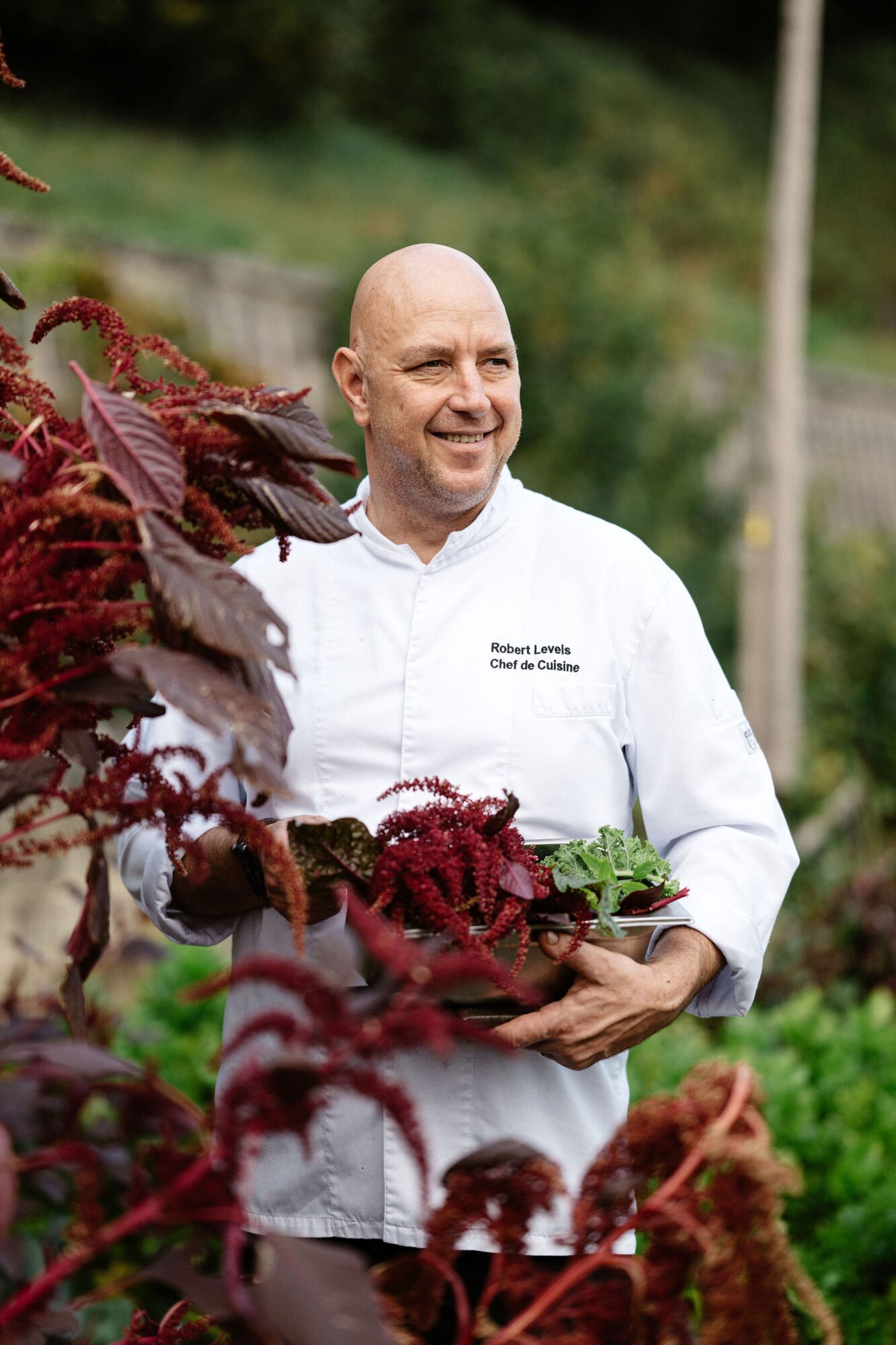 Robert Levels | CNM.