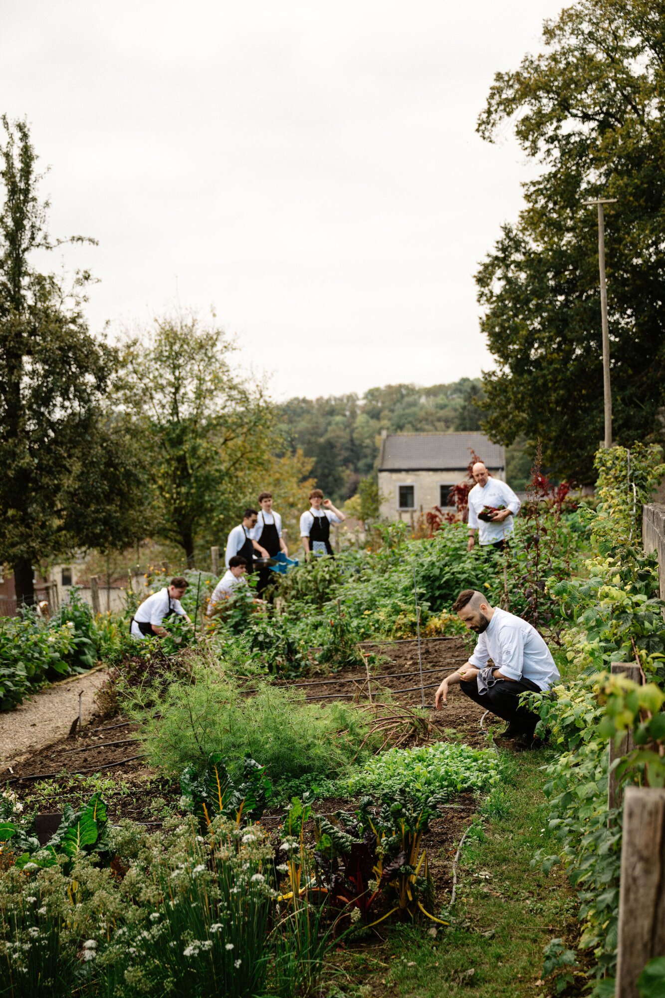 Chefs in garden | Château Neercanne.
