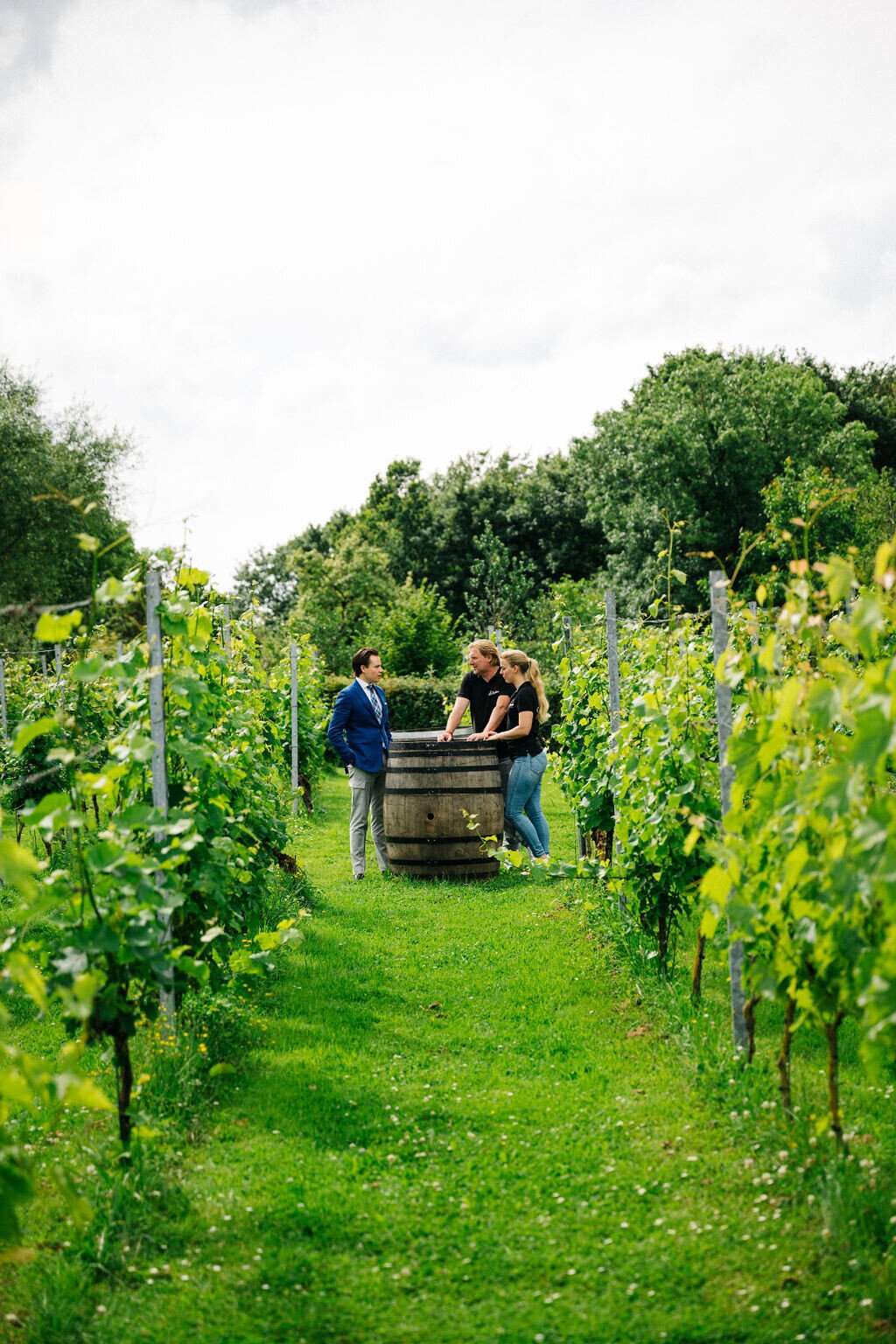 Wijngaard in Zuid-Limburg | Château Neercanne.