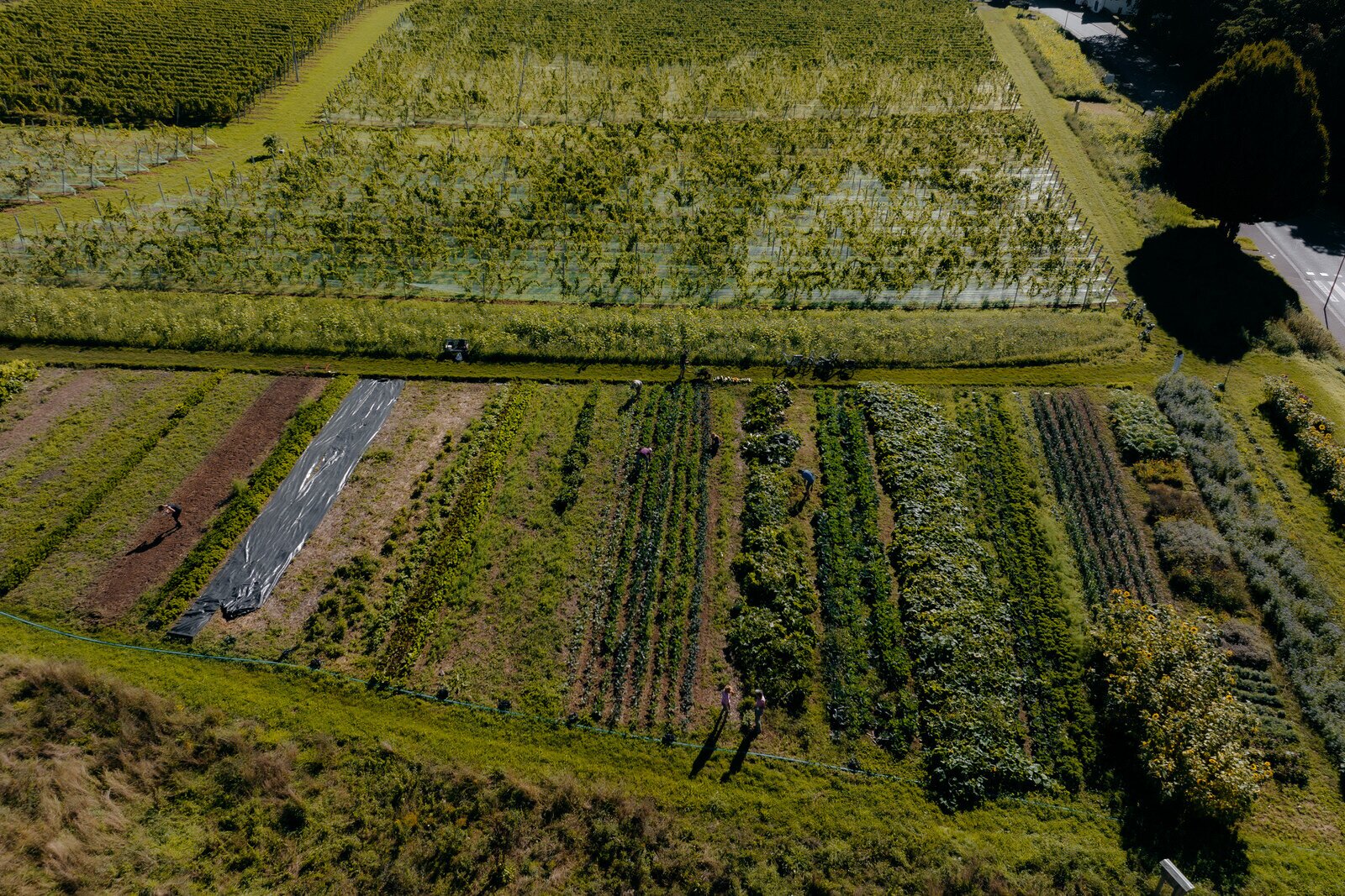 WIJland Château St. Gerlach.