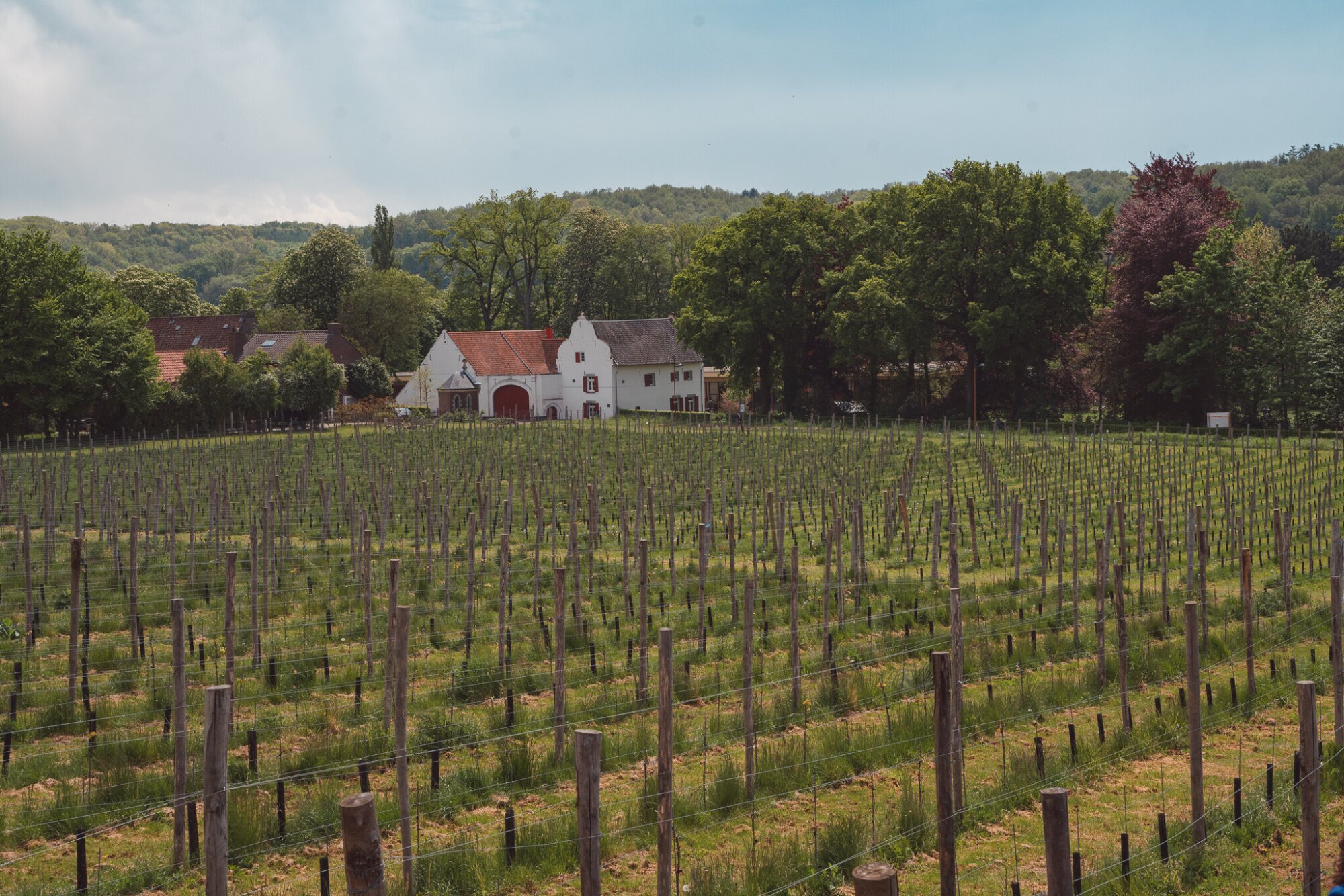 WIJland | Château St. Gerlach.