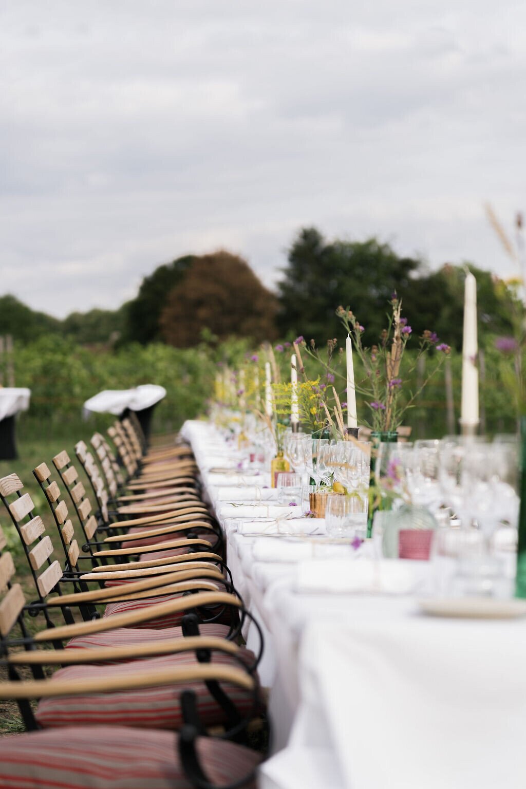 WIJland Harvest Dinner Series.