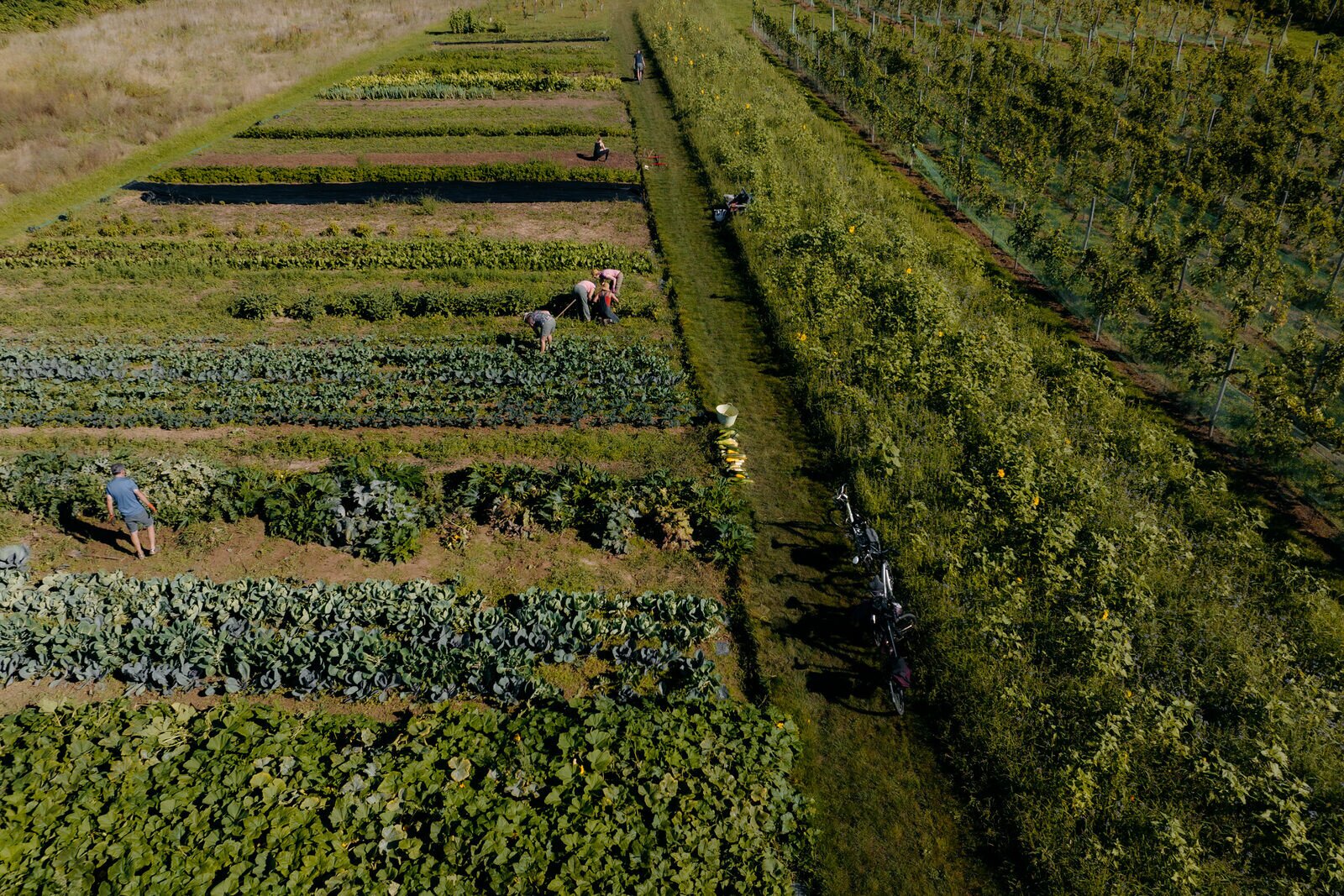 Moestuin | Château St. Gerlach.
