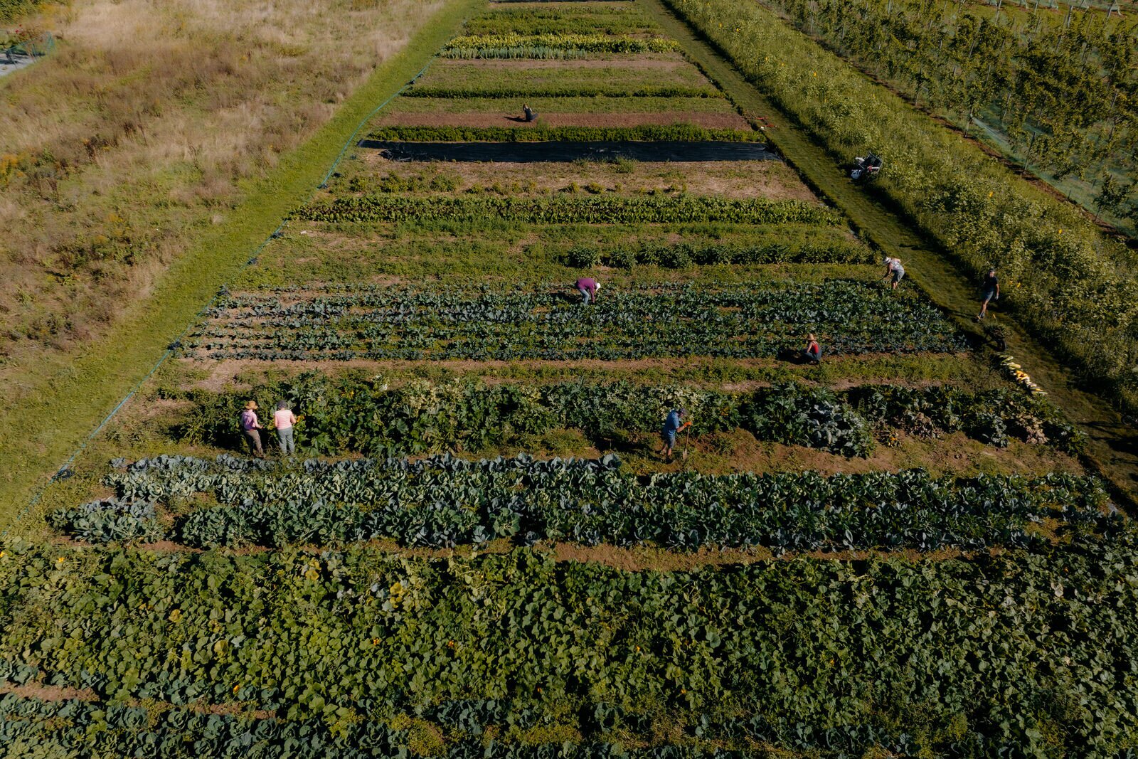 Moestuin | Château St. Gerlach.