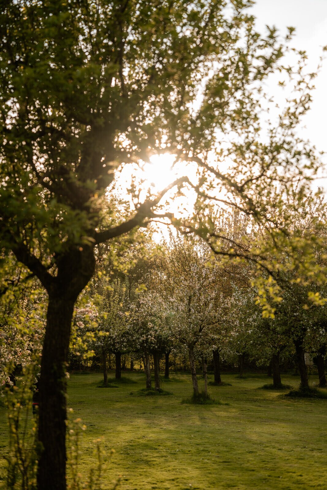 Fruitgaard Château St. Gerlach.