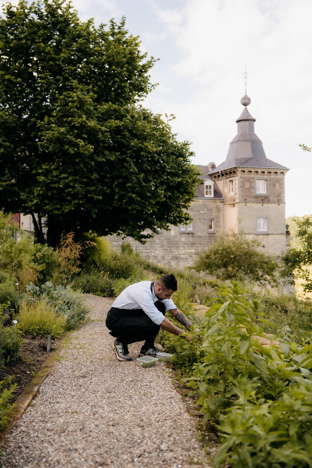 Vegetable garden Château Neercanne.