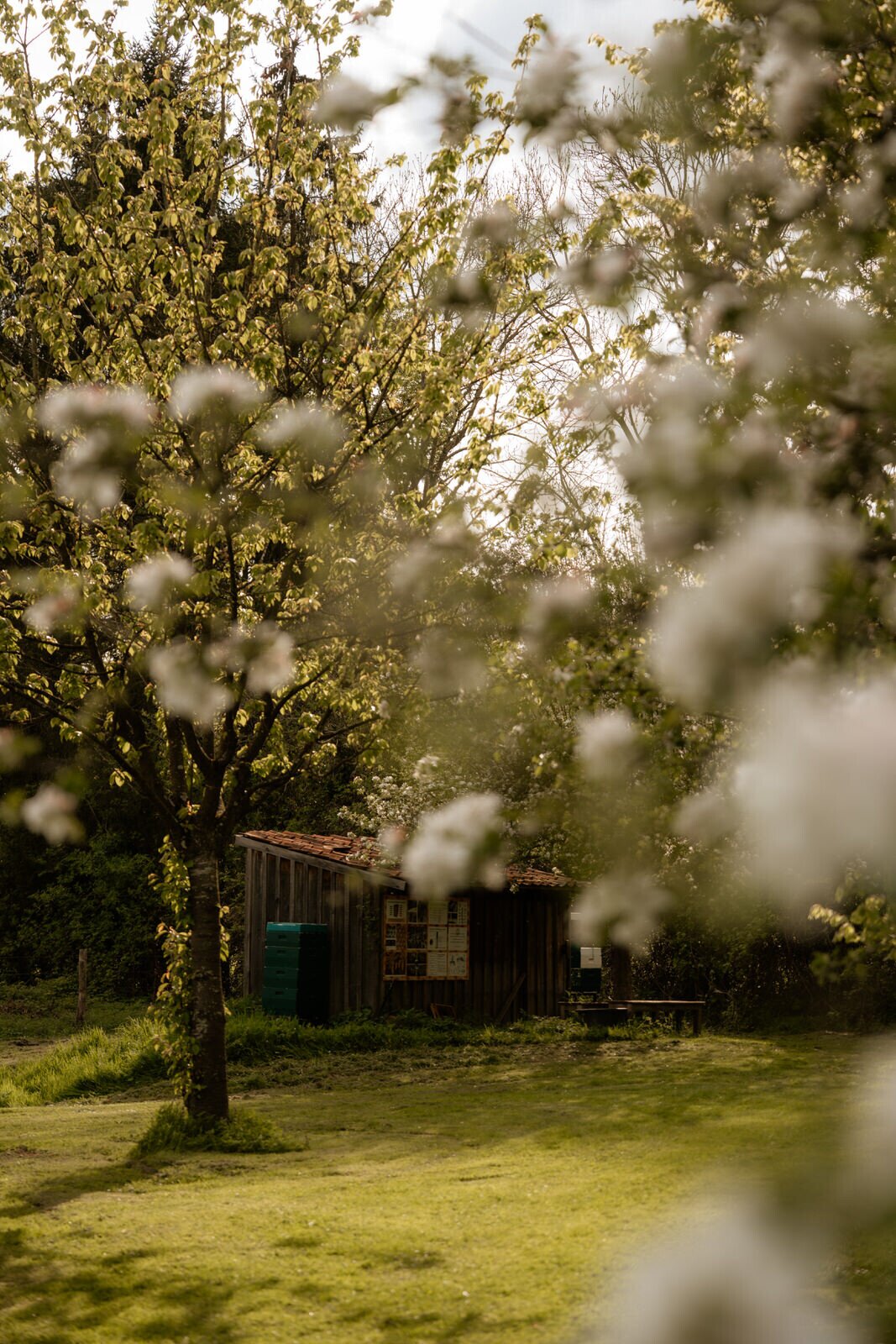 Eigen bijenvolk | Château St. Gerlach.